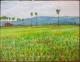 Reisfelder / Kambodscha - peter paint - Acryl auf Leinwand - Landschaft - Impressionismus