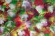 Bunte Astern ? Bunte Astern ?
