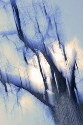 Baum der Erleuchtung - Walter J. Pilsak - auf - Array - Baum der Erleuchtung - Walter J. Pilsak - auf - Array -