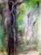 Sombras - Schatten Sombras - Schatten