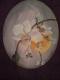 Orchidee im Licht  - Karola Machnicka - Acryl auf Leinwand - Blumen - Realismus