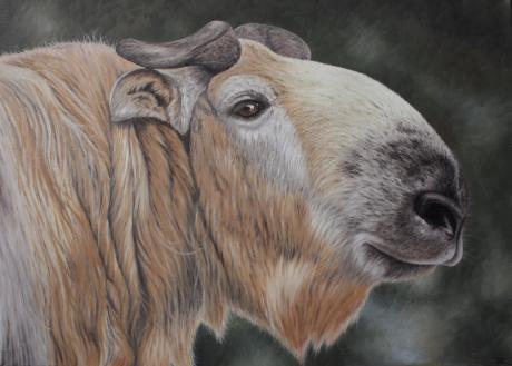 Takin - Irina Wall - Array auf Array - Array - Array Takin - Irina Wall - Array auf Array - Array - Array