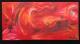 Sturm Sturm