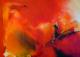 -Fegefeuer- -Fegefeuer-