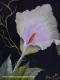 CALA - Monika  Pogoda - Acryl-Ãl auf Leinwand - Blumen - GegenstÃ¤ndlich-Naturalismus-Realismus