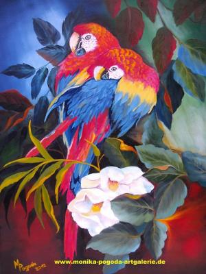 Zwei Papageien - Monika  Pogoda - Array auf Array - Array - Array