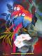 Zwei Papageien - Monika  Pogoda - Acryl-Ãl auf Leinwand - Tiere - GegenstÃ¤ndlich-Naturalismus-Realismus