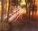Licht im Wald - Andreas Merk - Acryl auf Leinwand - Wald - 
