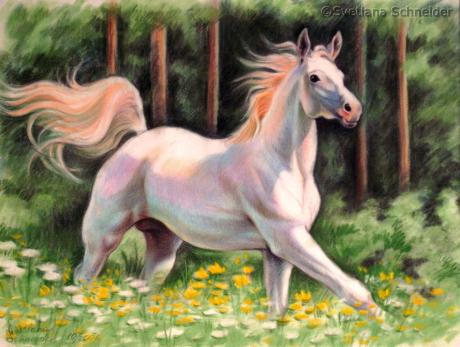 Weißes Pferd - Svetlana Schneider - Array auf  - Array - 