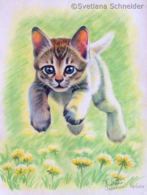 Springende Kätzchen - Svetlana Schneider - Array auf  - Array - 