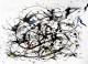 Im Dschungel des abstrakten Expressionismus - Werner Meier - Acryl auf Papier -  - Abstrakt-Expressionismus