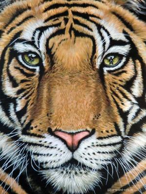 Tiger´s Last Roar - Nicole Zeug - Array auf - Array - Array Tiger´s Last Roar - Nicole Zeug - Array auf - Array - Array