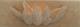 Kraft des Waldes - Dirk  Macess - Reliefs auf  - Abstrakt-Fantastisch-Sonstiges - 