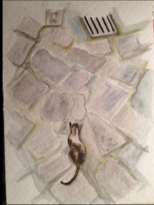 kleine Katze sucht die Maus - Helmut Müller - Array auf Array - Array - kleine Katze sucht die Maus - Helmut Müller - Array auf Array - Array -