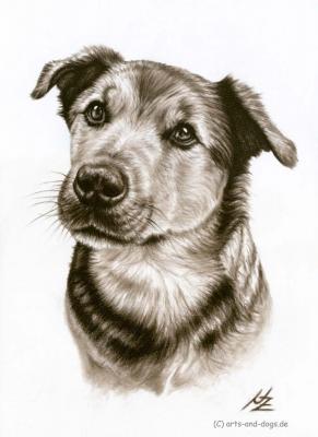 Dogs Eyes - Nicole Zeug - Array auf - Array - Dogs Eyes - Nicole Zeug - Array auf - Array -