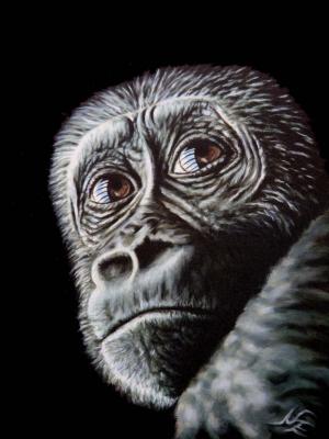 Junger Gorilla - Nicole Zeug - Array auf - Array - Junger Gorilla - Nicole Zeug - Array auf - Array -