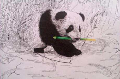 Panda Bär - Vilinskiy Nic -  auf Array - Array - Array