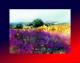 Provence-Sault-4R - Ernst Gilson - DigitaleKunst auf  - Landschaft-Sehnsucht - 
