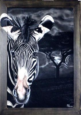 Zebra - mike . mairhofer - Array auf Array - Array - Zebra - mike . mairhofer - Array auf Array - Array -
