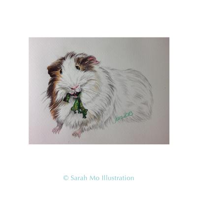 Fressendes Meerschweinchen - Sarah Mo Illustration - Array auf Array - Array - Fressendes Meerschweinchen - Sarah Mo Illustration - Array auf Array - Array -