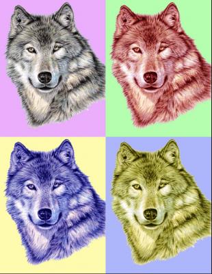 PopArt Wolf - Nicole Zeug - Array auf - Array - PopArt Wolf - Nicole Zeug - Array auf - Array -