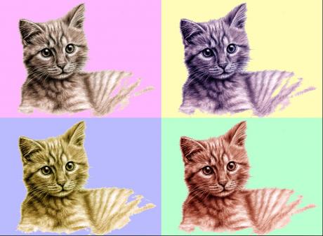 Kätzchen PopArt - Nicole Zeug - Array auf - Array - Kätzchen PopArt - Nicole Zeug - Array auf - Array -