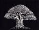 luminous bonsai - Tamara Valdovino - Drucke auf  - BÃ¤ume - 