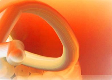 Pulseconcepted - Immo Jalass - Array auf - Array - Pulseconcepted - Immo Jalass - Array auf - Array -