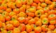 Obst - Farbschatten Fotografie - DigitaleKunst auf  - Stillleben - 