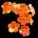 Japanische HÃ¤ngetrompete - Farbschatten Fotografie - DigitaleKunst auf  - Blumen - 