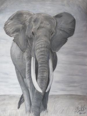 FREIHEIT 2 - Elefant - Susanne Brodkorb - Array auf - Array - Array FREIHEIT 2 - Elefant - Susanne Brodkorb - Array auf - Array - Array