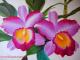 ORCHIDEE im Farbenrausch - Monika  Pogoda - Ãl auf Leinwand - Blumen - GegenstÃ¤ndlich-Realismus