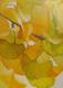 Ginkgo-BlÃ¤tter im Herbst - ingrid wenz-gahler - Acryl auf  - Botanik - 