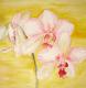 Orchidee 1 - Mario Rischke - Aquarell auf Papier - Blumen - Klassisch