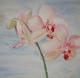 Orchidee 2 - Mario Rischke - Aquarell auf Papier - Blumen - Klassisch