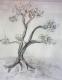 Alter Baum - Kristin GrÃ¤fin von Montfort -  auf  - Landschaft-BÃ¤ume - 