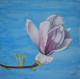 Magnolia 2 - Kristina Thome - Aquarell auf Papier - Blumen - GegenstÃ¤ndlich