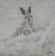 White Rabbit, White Rabbit - Anja Mueller-Wood - Acryl auf Leinwand - Wildtiere - Expressionismus