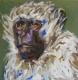 Scruffy Monkey - Anja Mueller-Wood - Acryl auf Leinwand - Wildtiere - Expressionismus