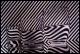 White Stripes - Heike MÃ¼ller - Ãl auf Leinwand - Stillleben - Fotorealismus
