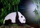 Panda - Karin Bebber - Ãl auf Leinwand - Tiere - 