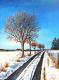 Winterspaziergang - Simone Wilhelms - - auf  - Schnee-Wald - 