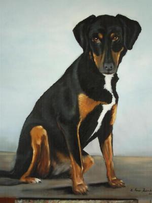 Hunde-Portrait - Zdravko Radenkovic - Array auf Array - - Hunde-Portrait - Zdravko Radenkovic - Array auf Array - -