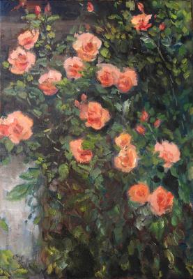 Roses - Ellen Fasthuber-Huemer - Array auf Array - Array - Array Roses - Ellen Fasthuber-Huemer - Array auf Array - Array - Array