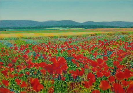 Mohn.Felder.Berge - Fred Hahn - Array auf Array - Array - Array Mohn.Felder.Berge - Fred Hahn - Array auf Array - Array - Array