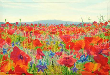 Brockenmohn - Fred Hahn - auf Array - Array - Array Brockenmohn - Fred Hahn - auf Array - Array - Array
