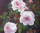 Roses II - Ellen Fasthuber-Huemer - Ãl auf Leinwand - Rosen - Impressionismus