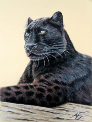 Panther - Nicole Zeug - Array auf - Array - Panther - Nicole Zeug - Array auf - Array -