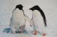 PinguIN LOVE - dunjate Kunst in Acryl - Acryl auf Leinwand - Wildtiere-Schnee - Fotorealismus