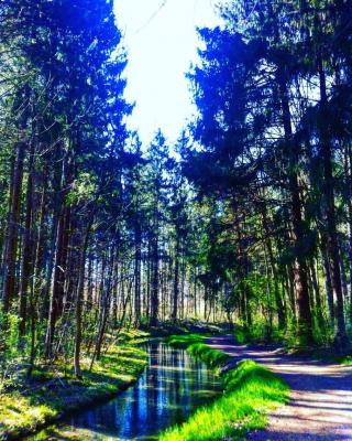Der Weg ist das Ziel - L.M. G. - auf - Array - Der Weg ist das Ziel - L.M. G. - auf - Array -
